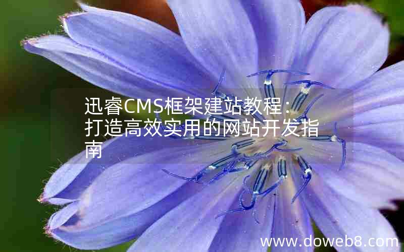 迅睿cms框架建站教程：打造高效实用的网站开发指南
