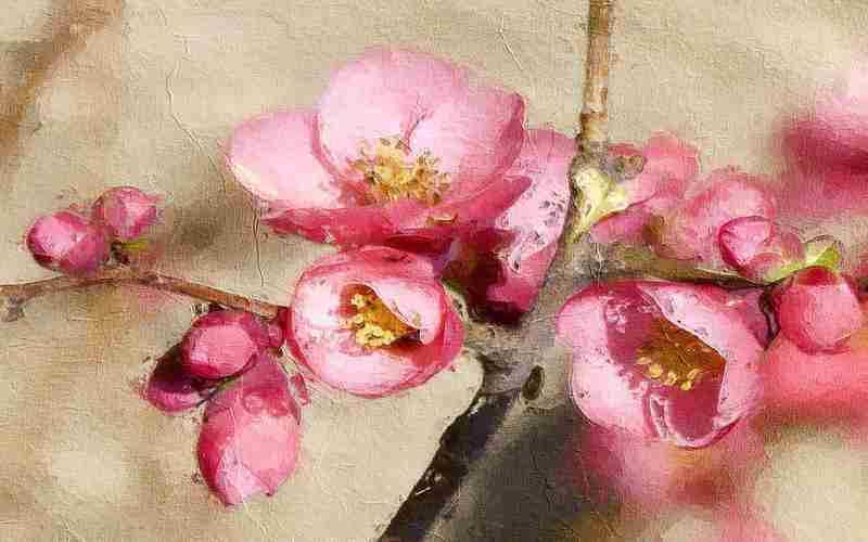 如何撰写专业简历