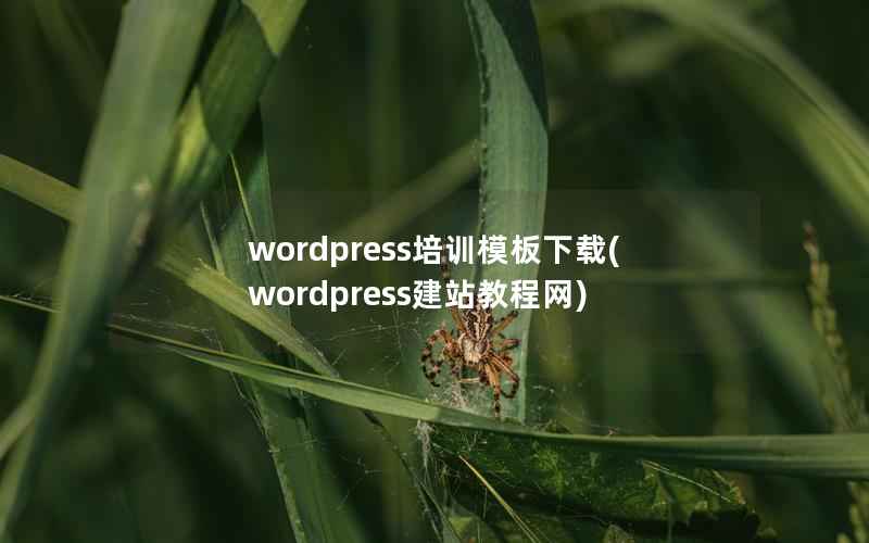 WordPress培训模板下载，WordPress建站教程网
