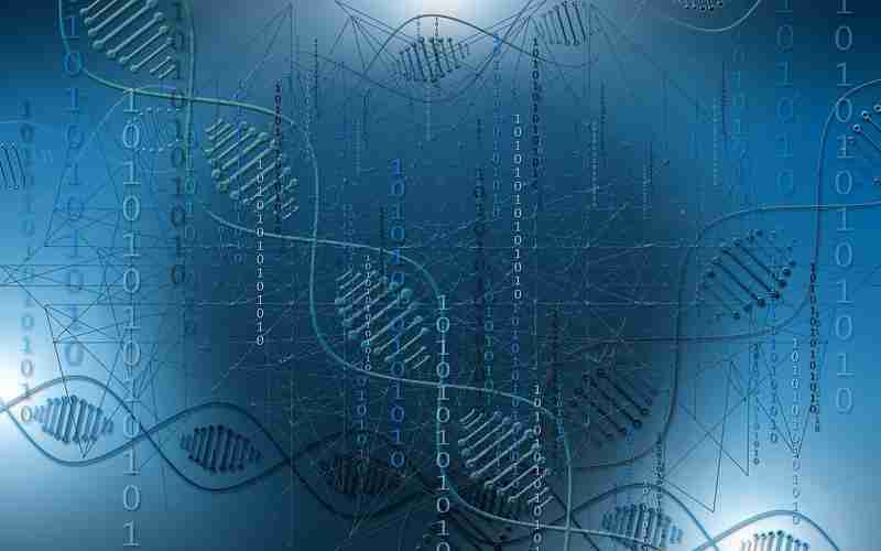 语音搜索如何影响SEO策略