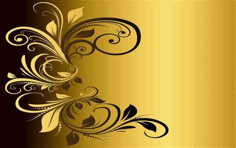 如何避免搜索引擎的算法更新影响收录