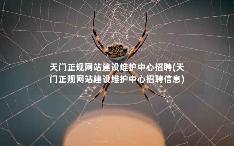 天门正规网站建设维护中心招聘，天门正规网站建设维护中心招聘信息