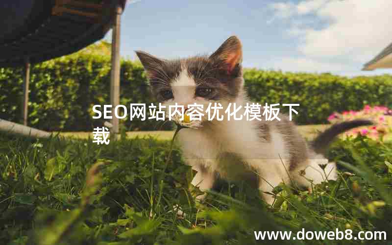 SEO网站内容优化模板下载，seo网站内容优化模板下载什么软件