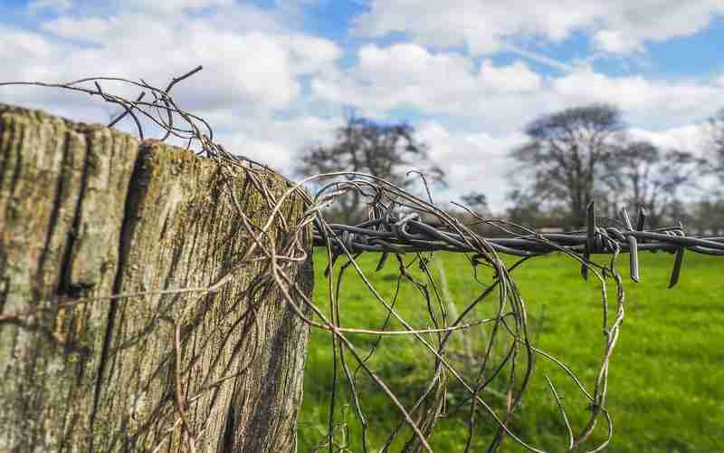 关键词和内容营销的关系是什么