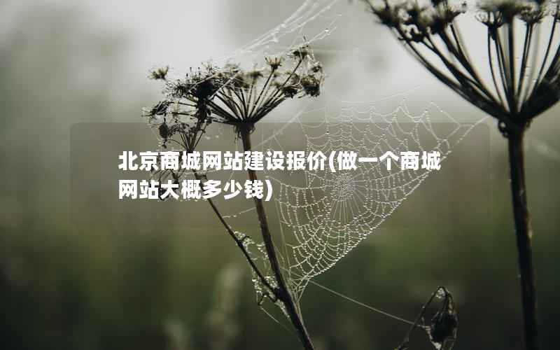 北京商城网站建设报价，做一个商城网站大概多少钱