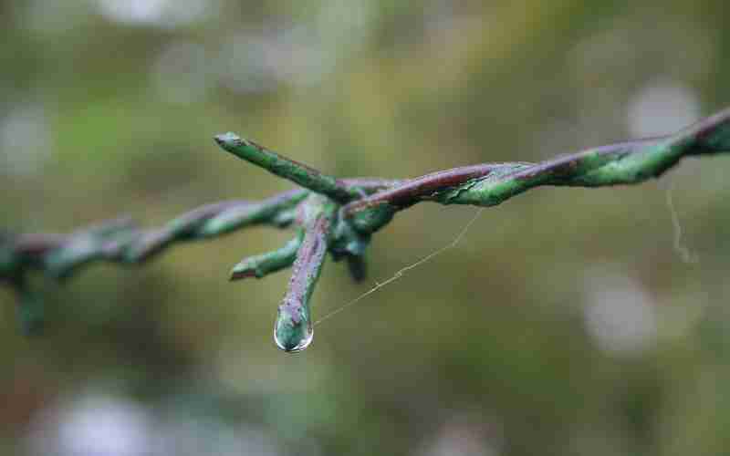 影响搜索引擎收录的因素有哪些