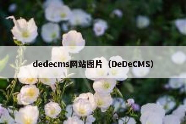 织梦dedecms网站图片，DeDeCMS