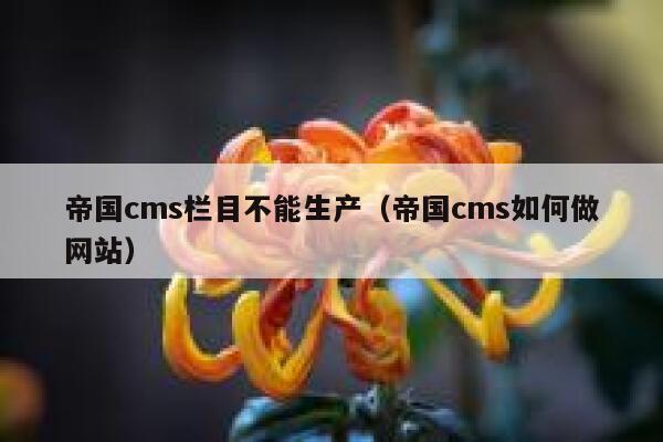 帝国CMS栏目不能生产，帝国CMS如何做网站