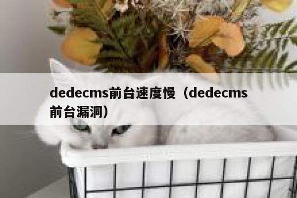 织梦dedecms前台速度慢，织梦dedecms前台漏洞