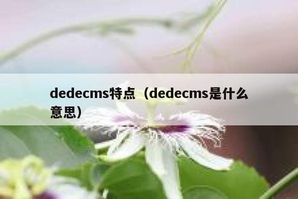 织梦dedecms特点，织梦dedecms是什么意思
