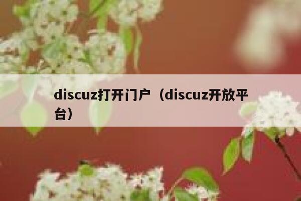 Discuz打开门户，Discuz开放平台