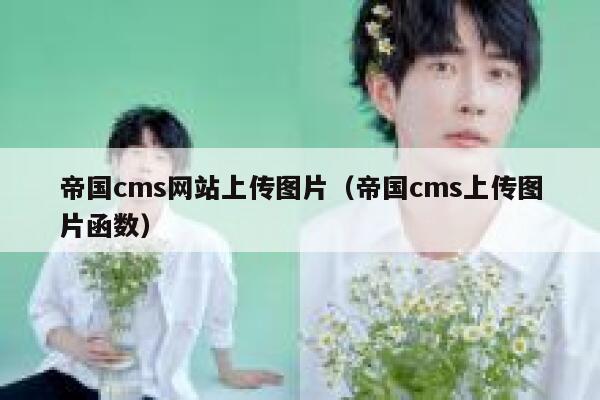帝国CMS网站上传图片，帝国CMS上传图片函数