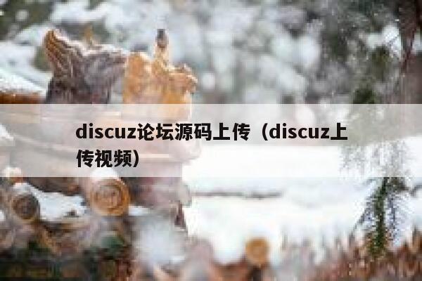Discuz论坛源码上传，Discuz上传视频