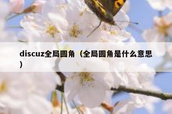 Discuz全局圆角，全局圆角是什么意思