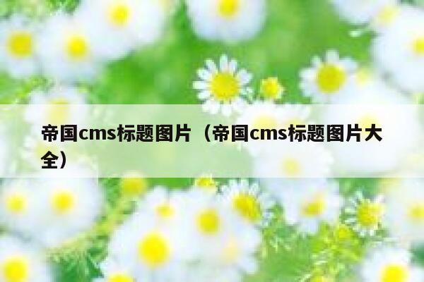 帝国CMS标题图片，帝国CMS标题图片大全