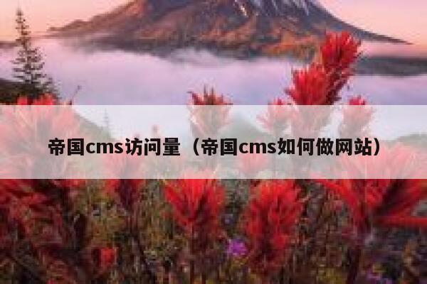 帝国CMS访问量，帝国CMS如何做网站