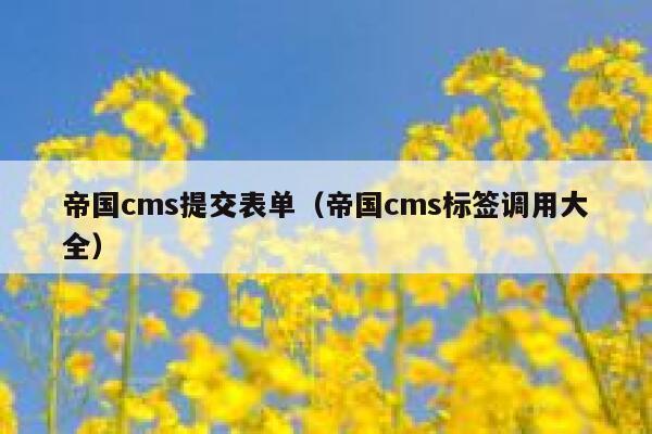帝国CMS提交表单，帝国CMS标签调用大全