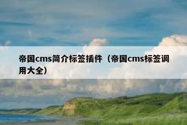 帝国CMS简介标签插件，帝国CMS标签调用大全