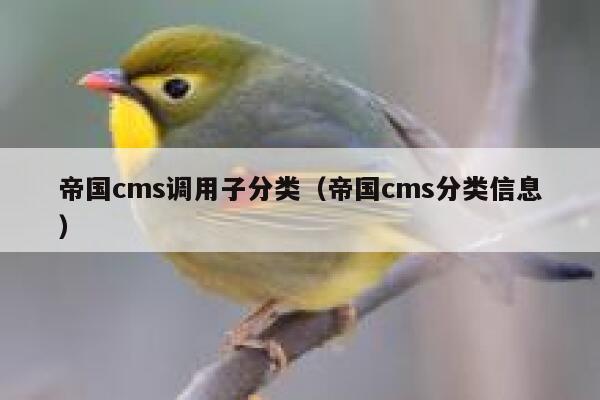 帝国CMS调用子分类，帝国CMS分类信息