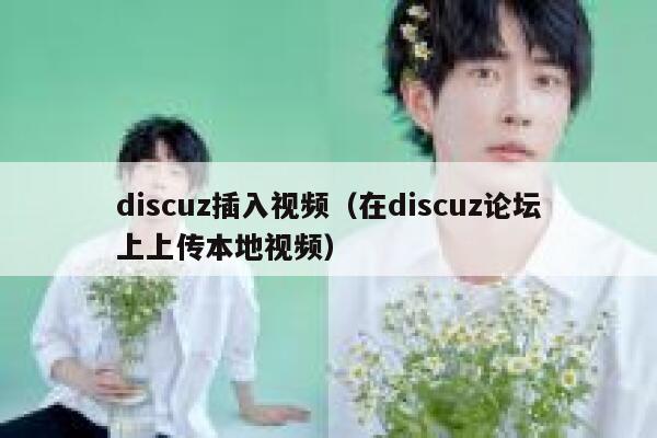 Discuz插入视频，在Discuz论坛上上传本地视频
