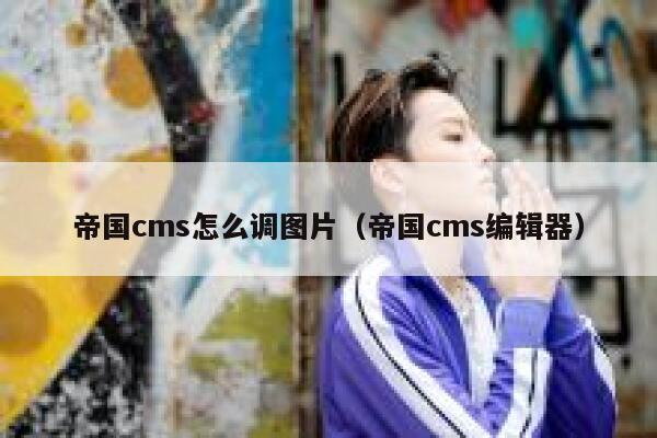 帝国CMS怎么调图片，帝国CMS编辑器
