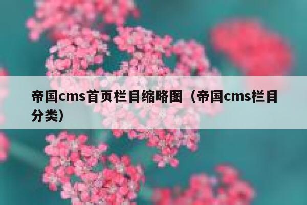 帝国CMS首页栏目缩略图，帝国CMS栏目分类
