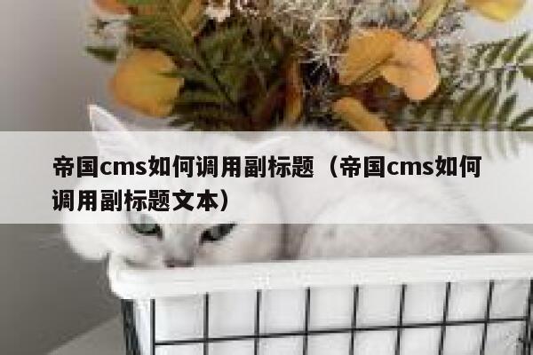 帝国CMS如何调用副标题，帝国CMS如何调用副标题文本