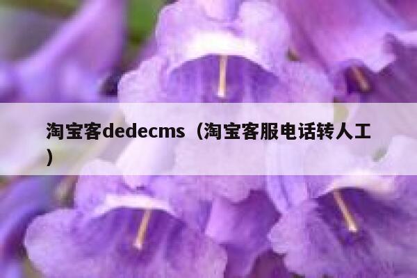 淘宝客织梦dedecms，淘宝客服电话转人工