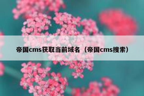 帝国CMS获取当前域名，帝国CMS搜索