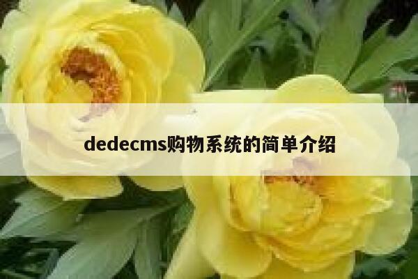 织梦dedecms购物系统的简单介绍