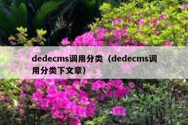 织梦dedecms调用分类，织梦dedecms调用分类下文章