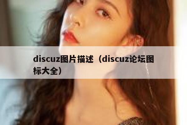 Discuz图片描述，Discuz论坛图标大全