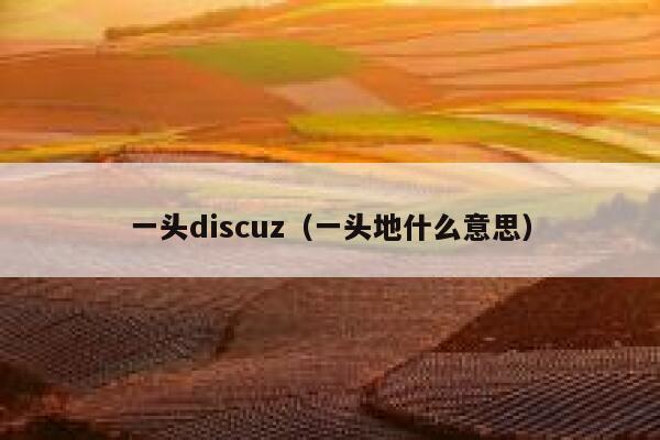 一头Discuz，一头地什么意思