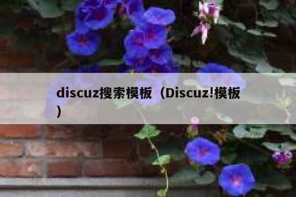 Discuz搜索模板，Discuz!模板