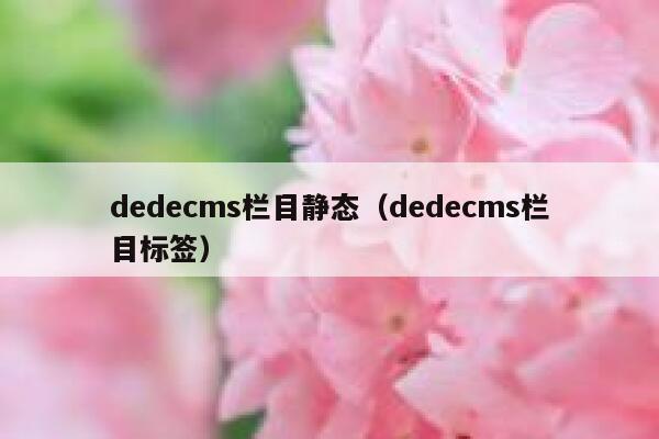 织梦dedecms栏目静态，织梦dedecms栏目标签