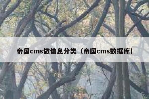 帝国CMS做信息分类，帝国CMS数据库