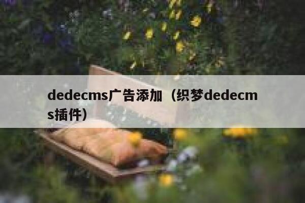 织梦dedecms广告添加，织梦织梦dedecms插件