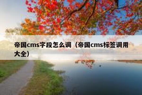 帝国CMS字段怎么调，帝国CMS标签调用大全