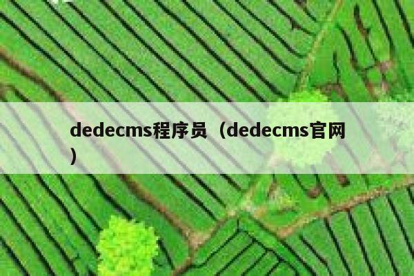 织梦dedecms程序员，织梦dedecms官网