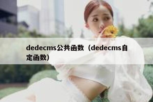 织梦dedecms公共函数，织梦dedecms自定函数