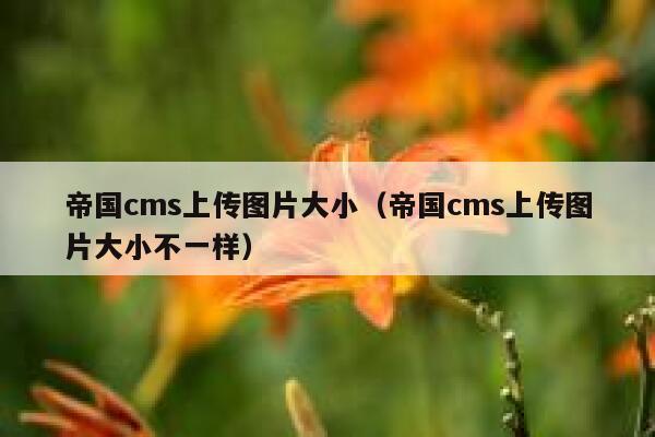 帝国CMS上传图片大小，帝国CMS上传图片大小不一样