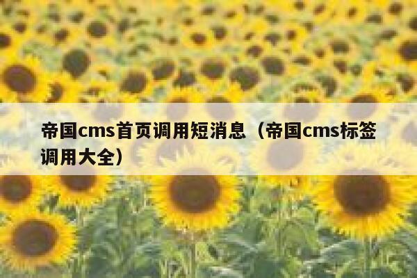 帝国CMS首页调用短消息，帝国CMS标签调用大全