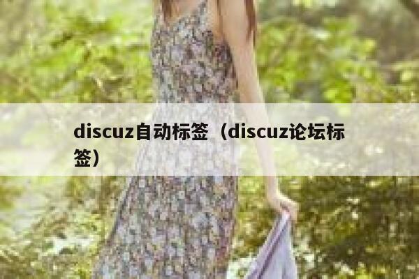 Discuz自动标签，Discuz论坛标签