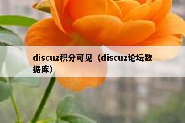Discuz积分可见，Discuz论坛数据库