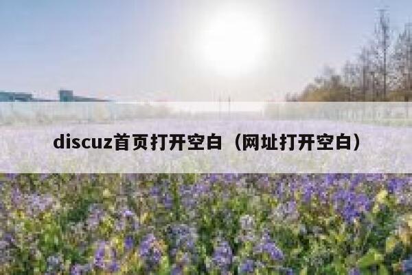 Discuz首页打开空白，网址打开空白