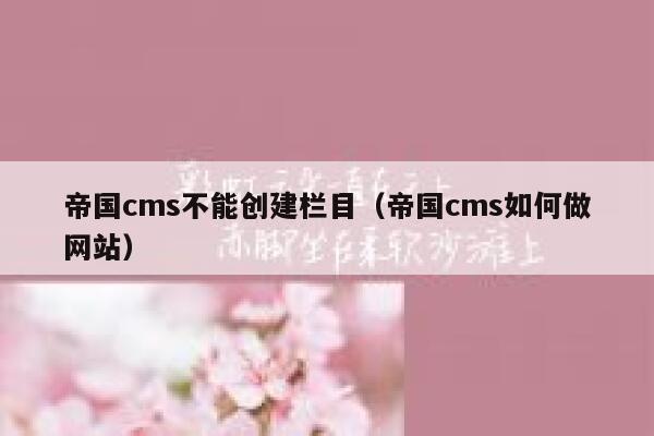 帝国CMS不能创建栏目，帝国CMS如何做网站