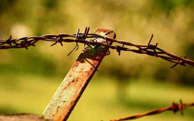 内容更新对SEO排名的影响