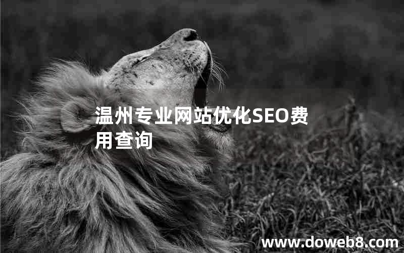 温州专业网站优化SEO费用查询，温州专业网站优化seo费用查询