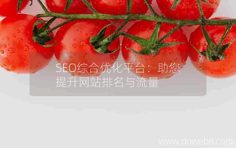 SEO综合优化平台：助您提升网站排名与流量