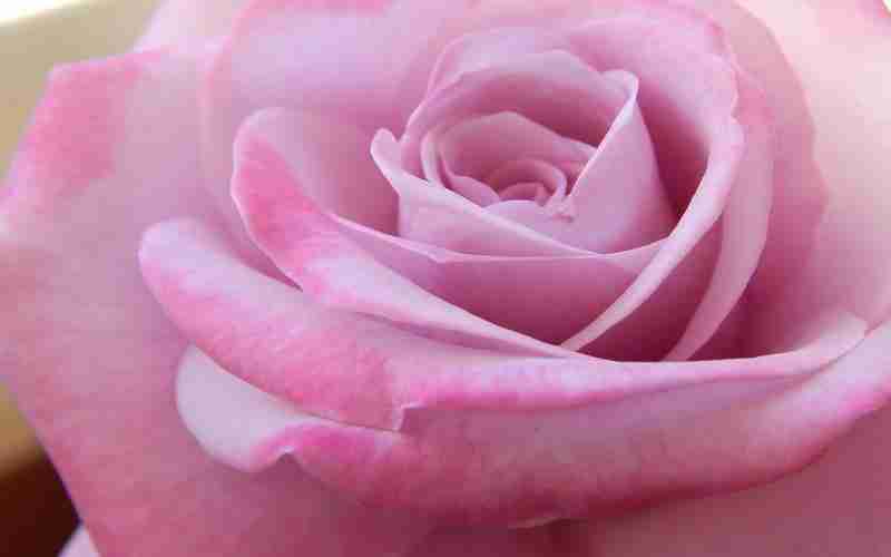 社交媒体对百度SEO的作用是什么